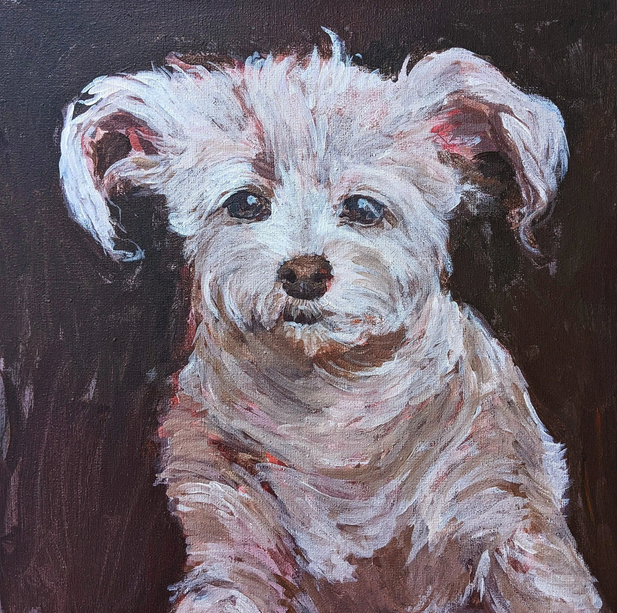 Pet Portrait