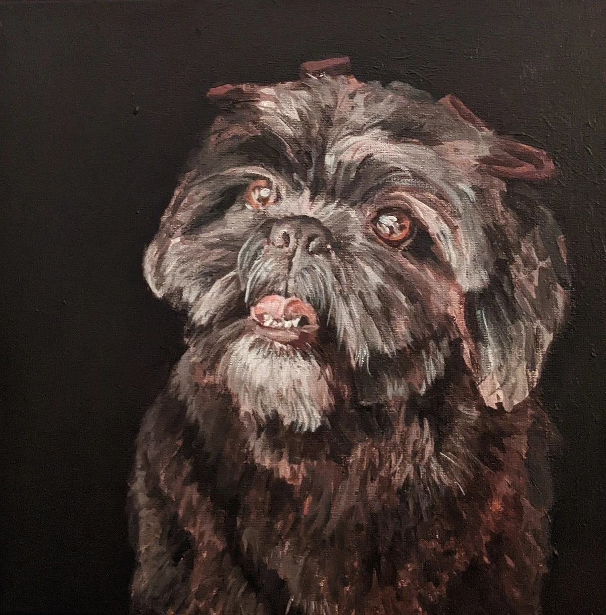 Pet Portrait